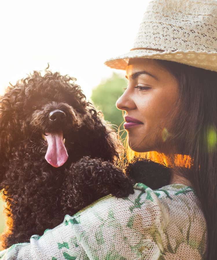 Pet-friendly homes at Shalimar at Plantation in Plantation, Florida