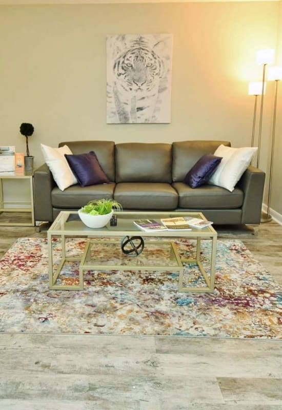 Living space with couch and floor rug at Tiger Pointe in Baton Rouge, Louisiana