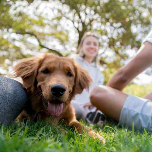 Happy woman with her dog at Reno Experience District in Reno,