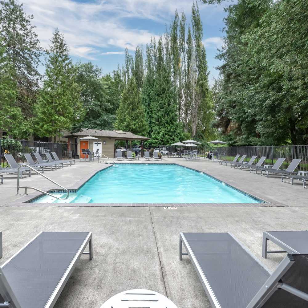 Community swimming pool 