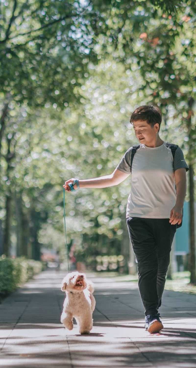 Resident taking their dog for a walk near Nari in Los Angeles, California