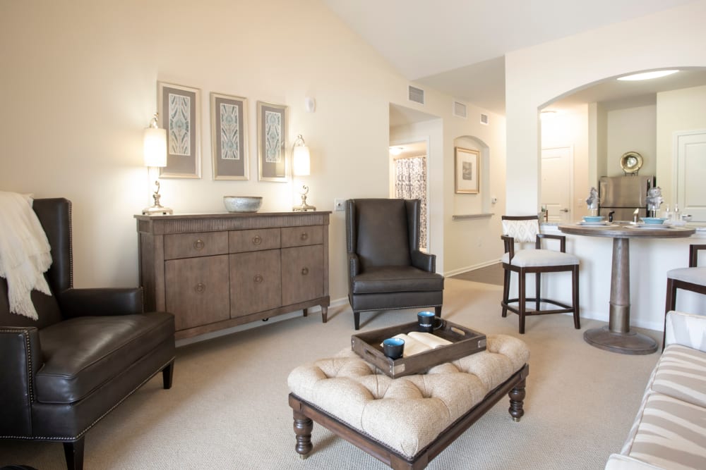 Living room at The Harmony Collection at Columbia in Columbia, South Carolina