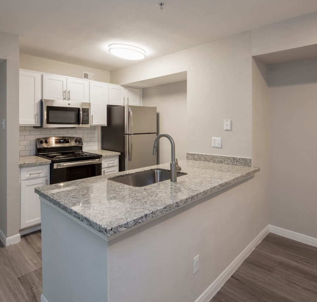Beautifully renovated modern kitchen with stainless steel appliances at IMT At The Medical Center in Houston, Texas