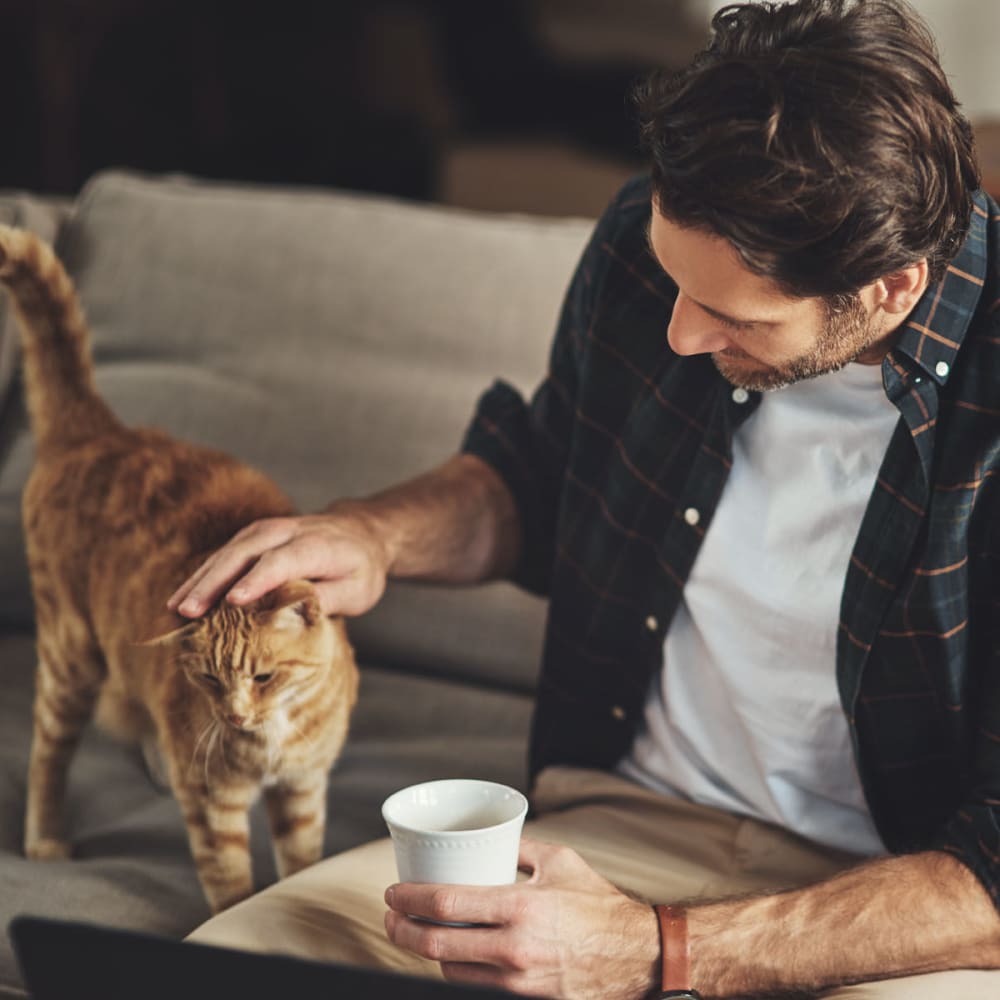 Resident and his cat relaxing on the couch in their apartment at Oaks Braemar in Edina, Minnesota