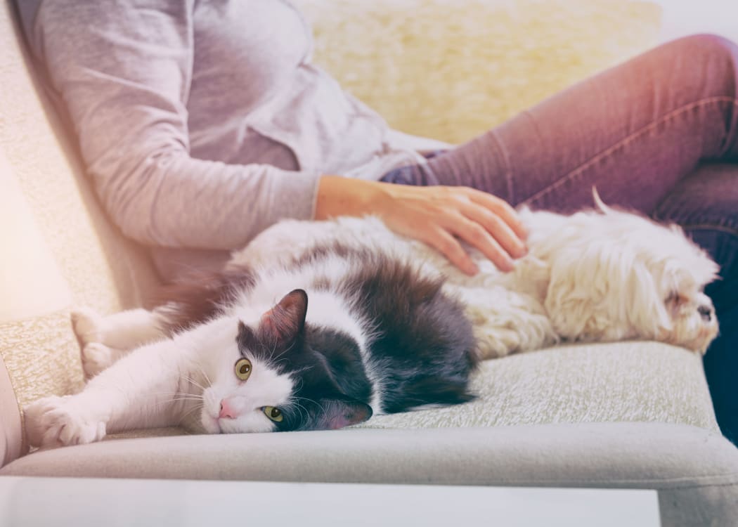 Resident and pets sitting on the couch at Villas at Aspen Park in Broken Arrow, Oklahoma