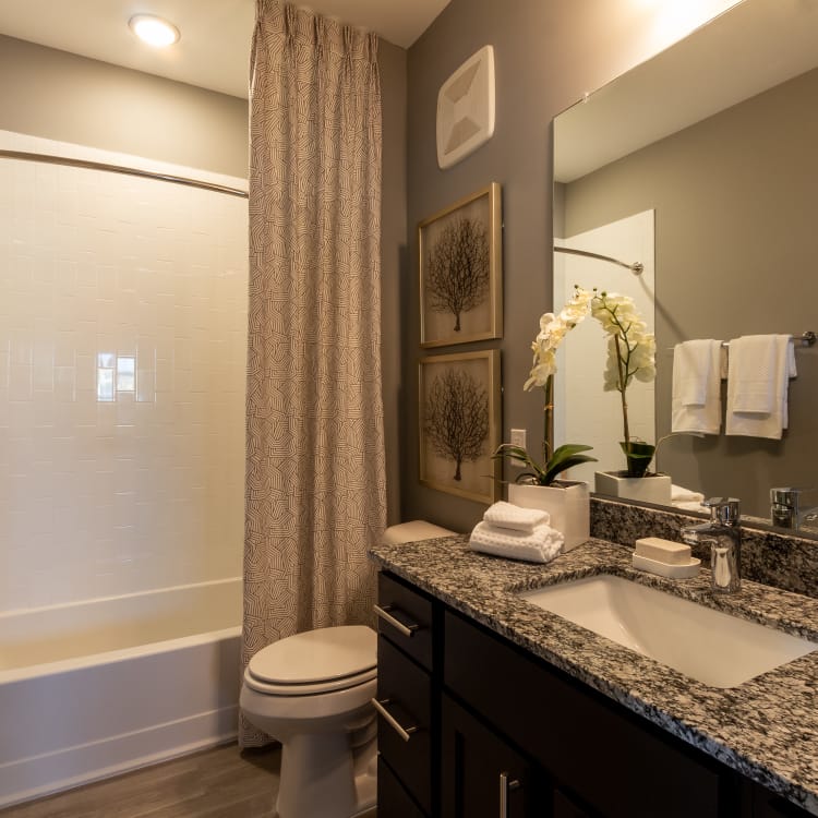 Luxury 1 2 Amp 3 Bedroom Apartments In Summerville Sc