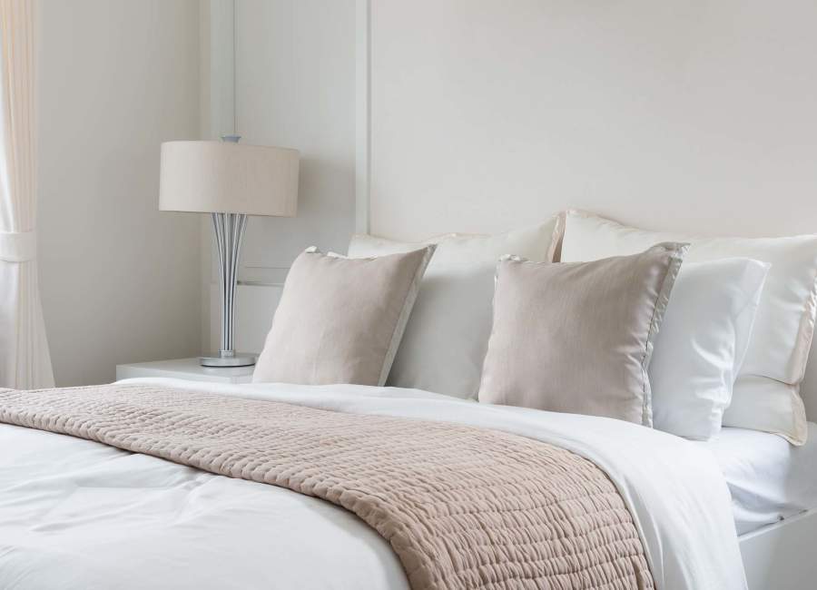 Dining table with a houseplant at The Residences at Thomas Circle in Washington, District of Columbia