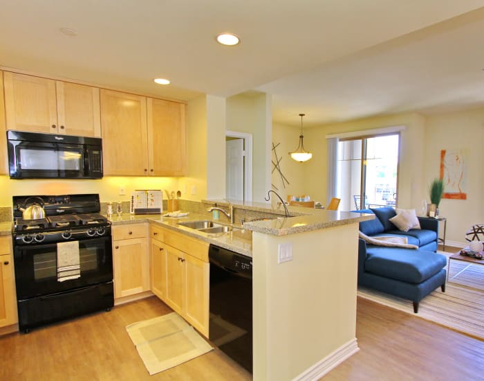 Modern kitchen with granite countertops and black appliances in model home at IMT Magnolia in Sherman Oaks, CA