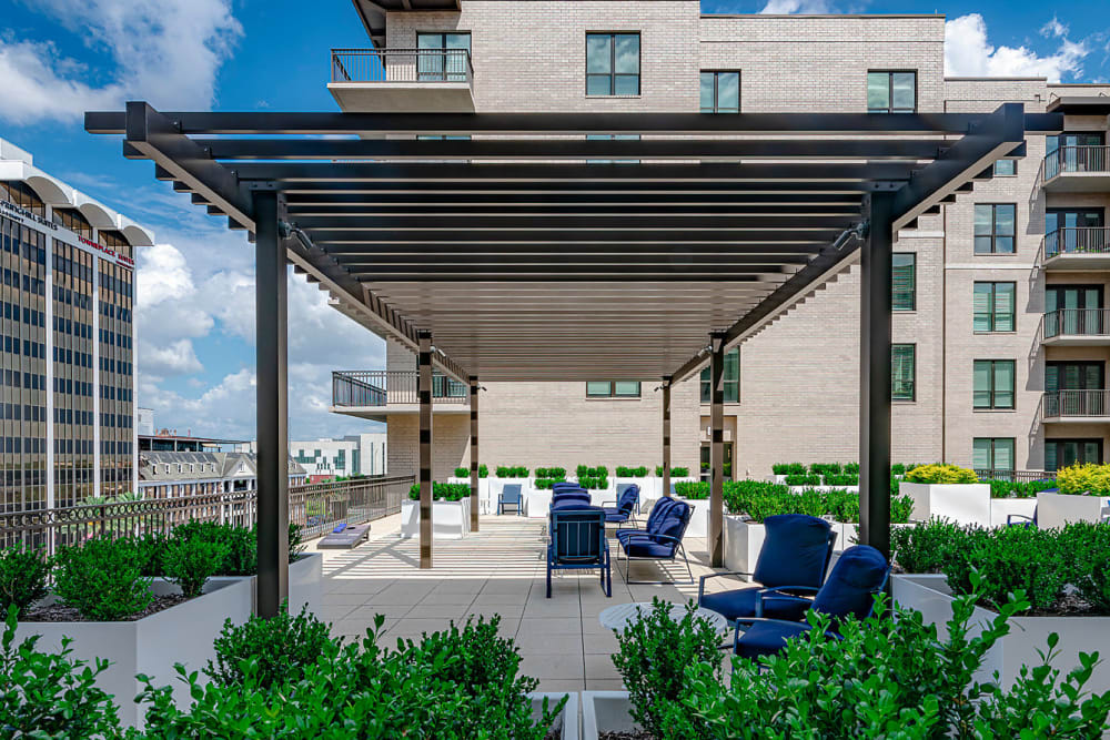 Lounge by the Pool at Canal1535 in New Orleans, Louisiana.
