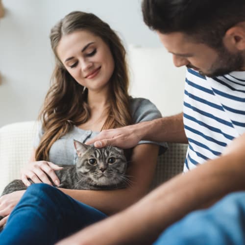 Residents petting a cat in a home at Riverview Village in Indian Head, Maryland