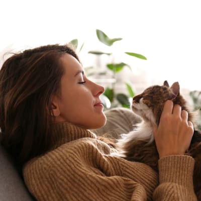 Apartments in Jasper TX Maple Court