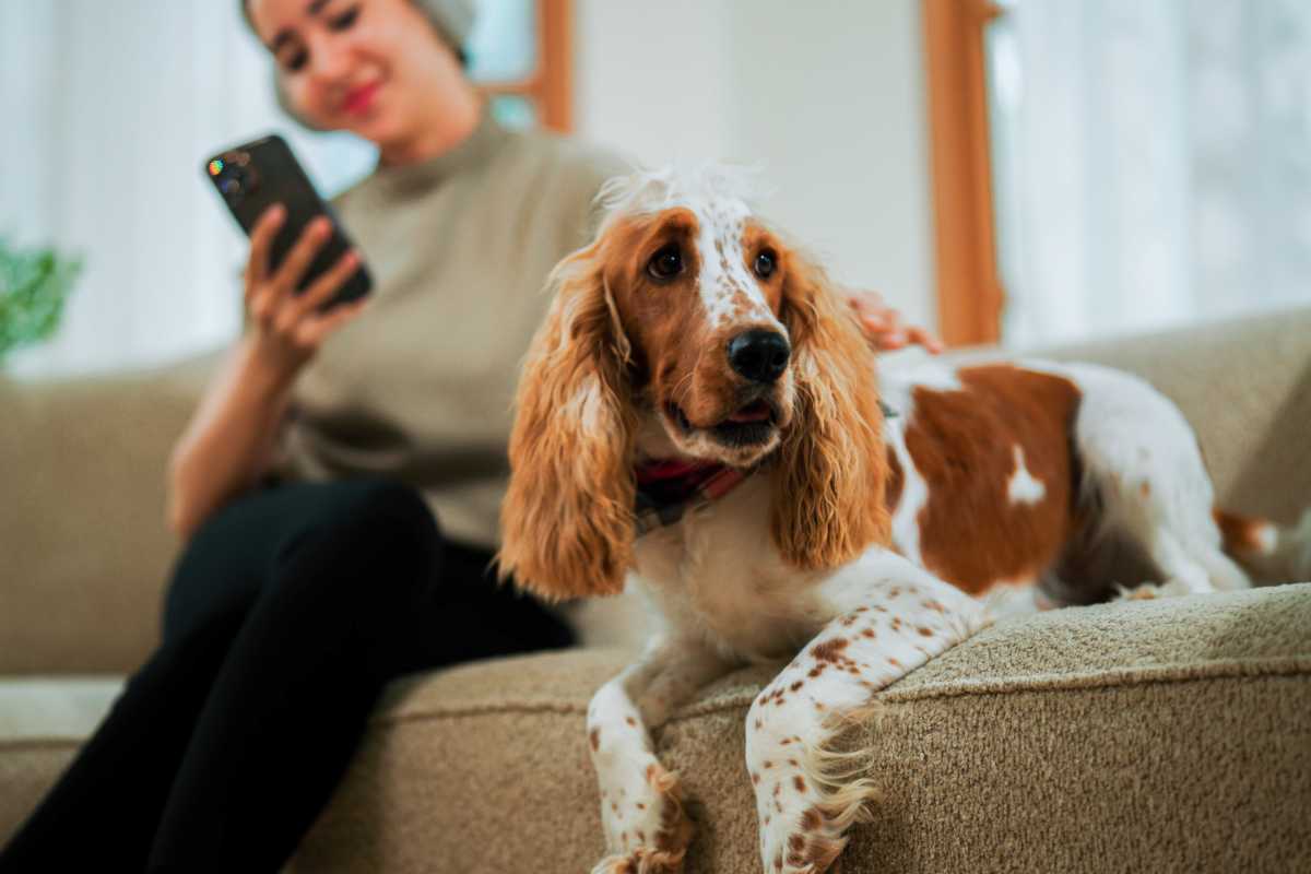  Pet Policy at 1100 Lincoln