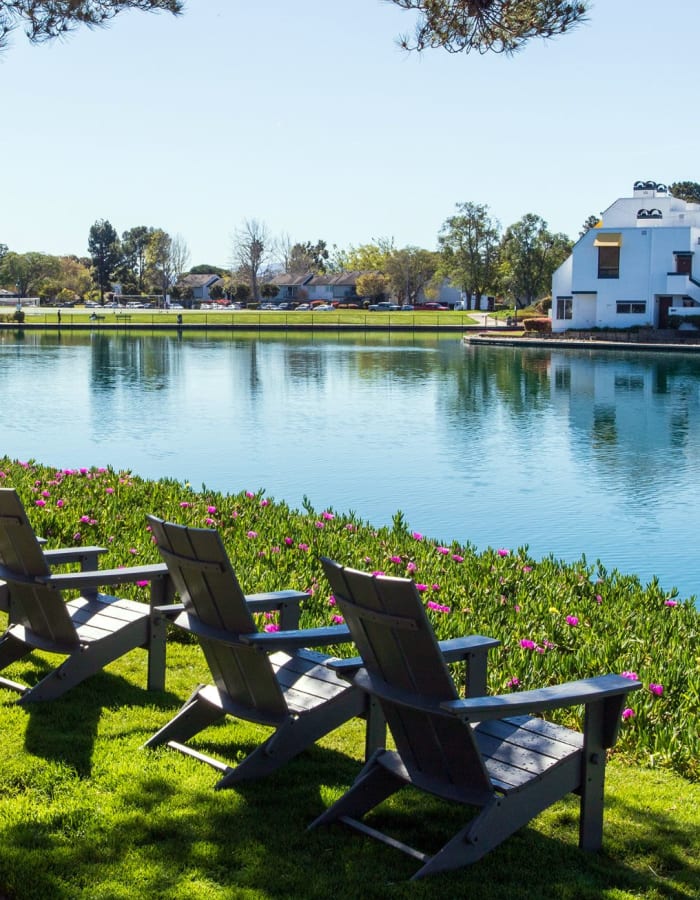 Great Outdoor scenery at Sand Cove in Foster City, California