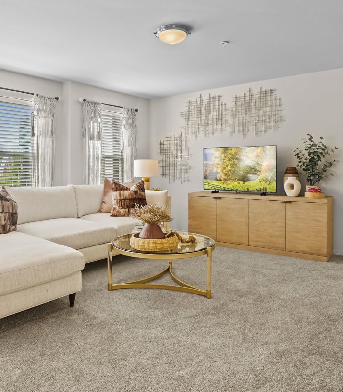 Carpeted living room area at Center 301 Apartments in Belton, Missouri