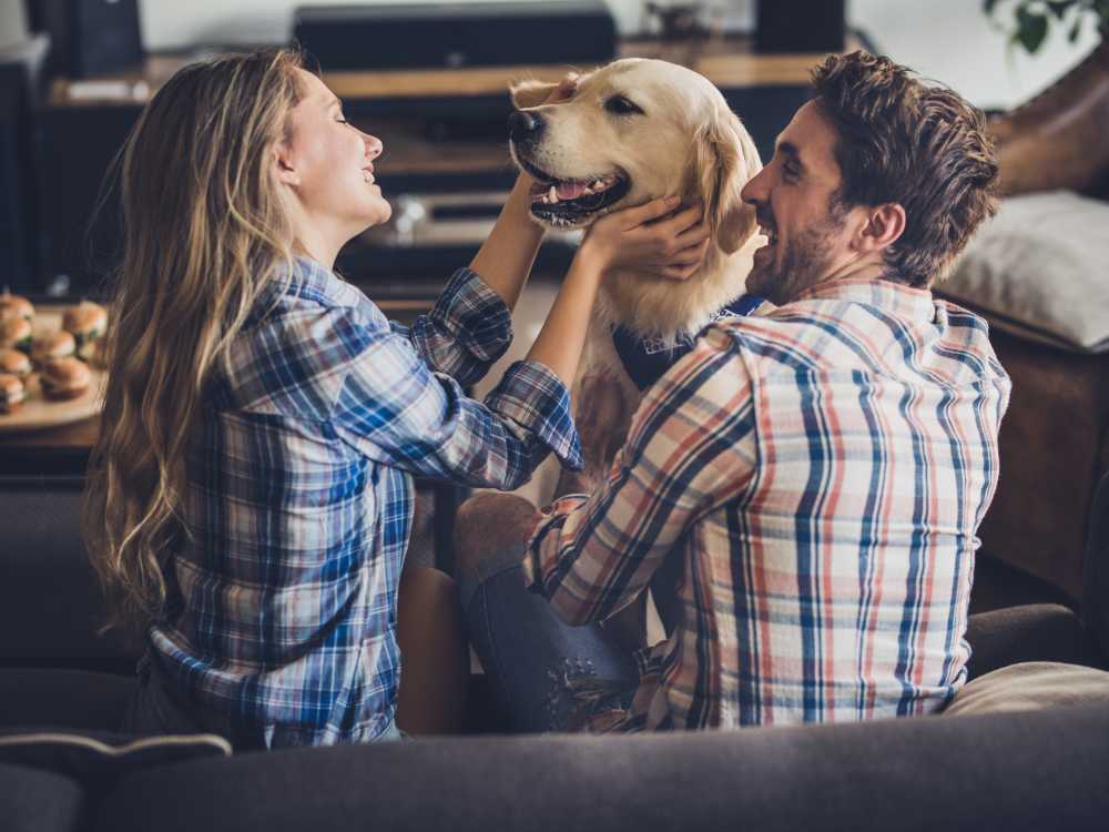 Residents playing with pet dogWyndham Hill in Grand Rapids, Michigan 