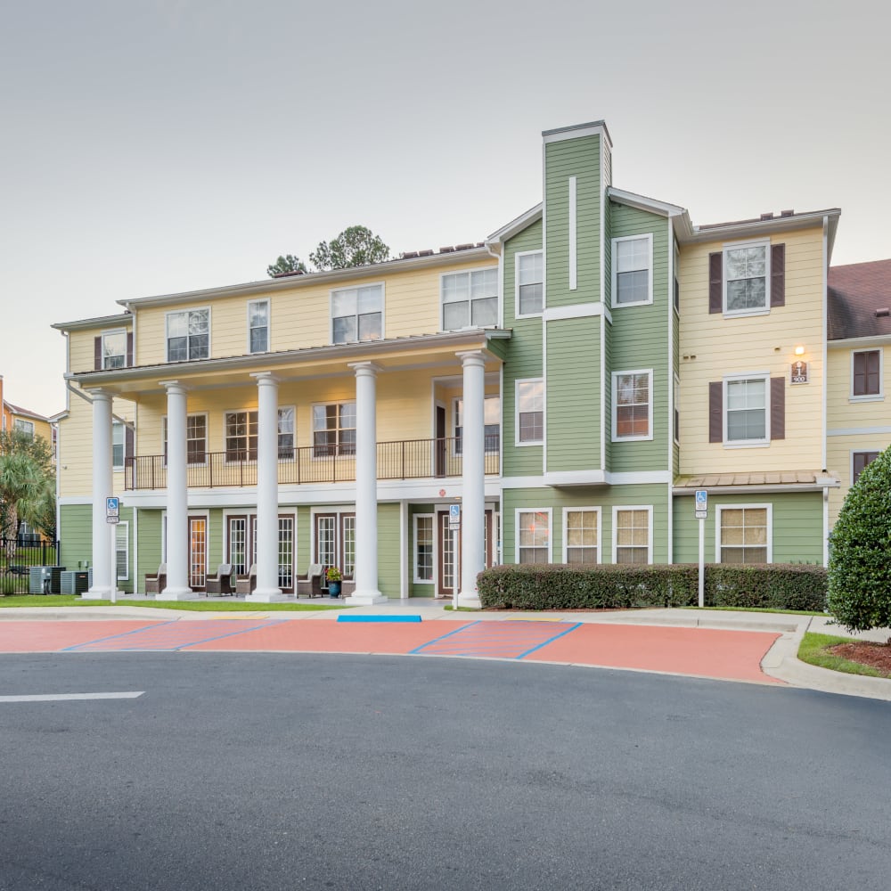 Palm tree lined walkway to the community clubhouse at Evergreens at Mahan in Tallahassee, Florida