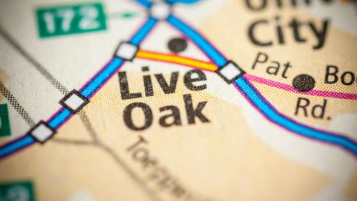 Apartments in Live Oak