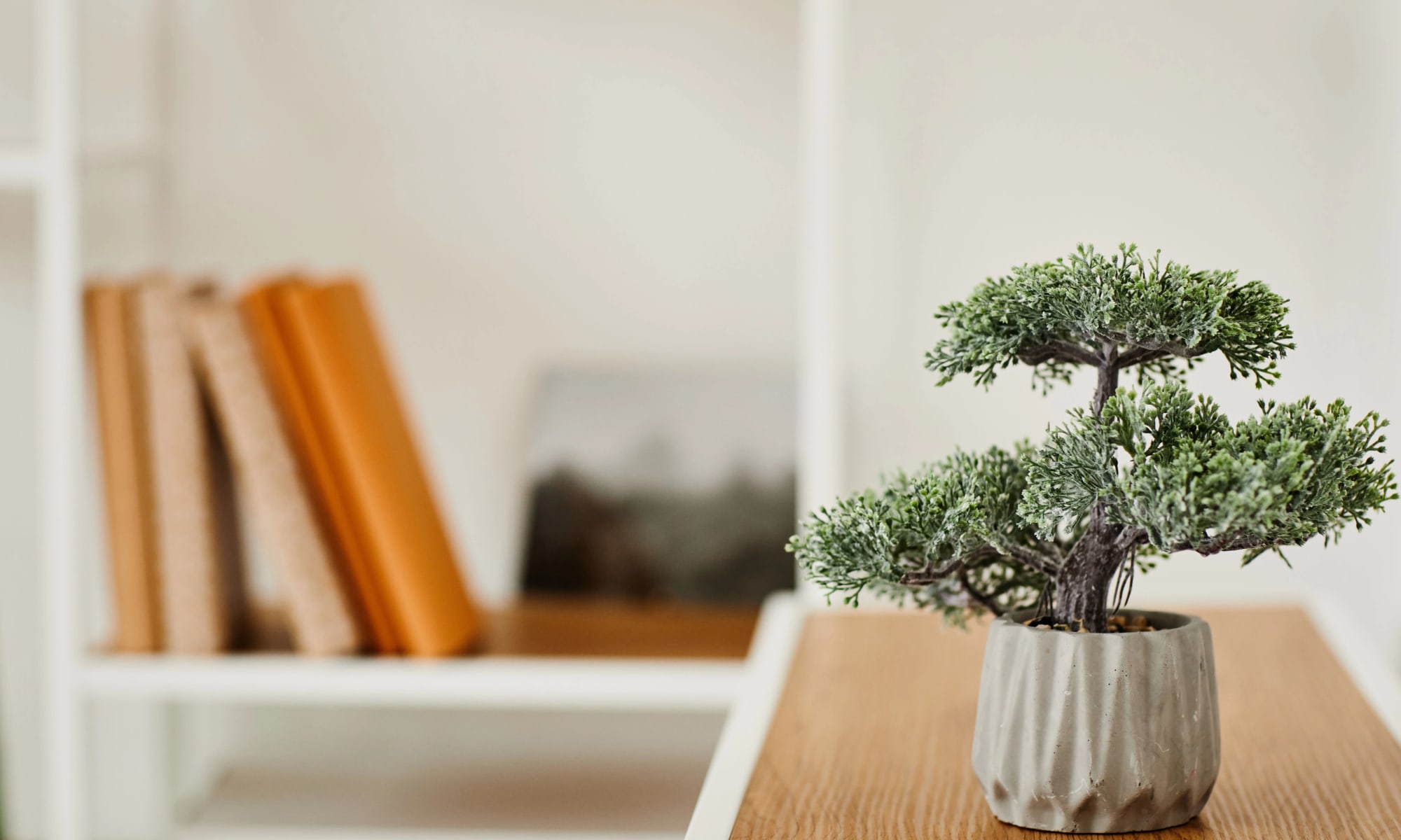 Dallas County Garland, TX Apartments for Rent Chandler Heights The Haylie