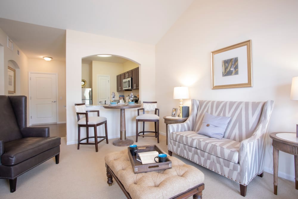 Living room at The Harmony Collection at Columbia in Columbia, South Carolina