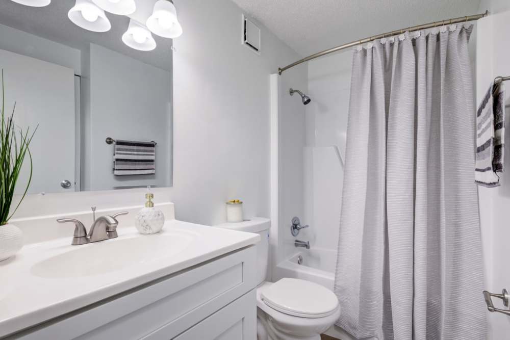 Bathroom at Cedarwood Apartments in Ocala, FL