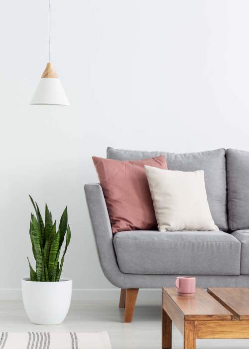 View photo gallery at Ashland Park in Mobile, Alabama