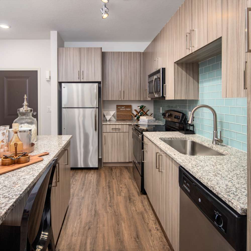 Kitchen with stainless-steel appliances at Solaris Key in Clearwater, Florida