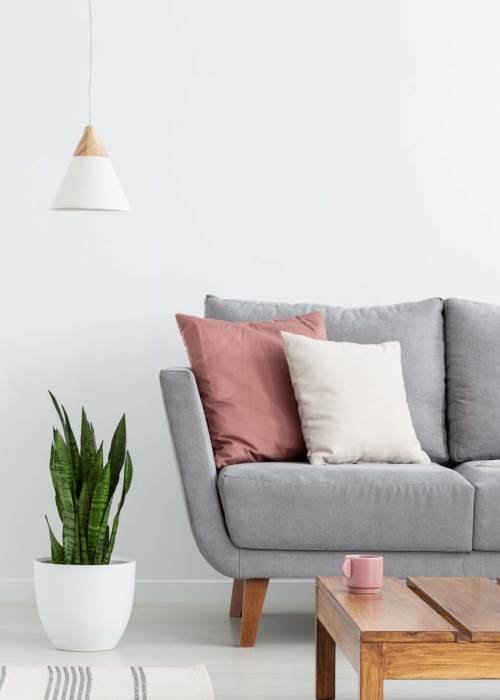 View floor plans at Spartan Ridge in Eightmile, Alabama