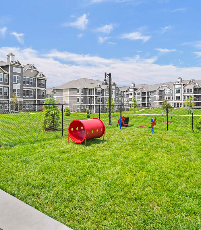 Dog park at Center 301 Apartments in Belton, Missouri