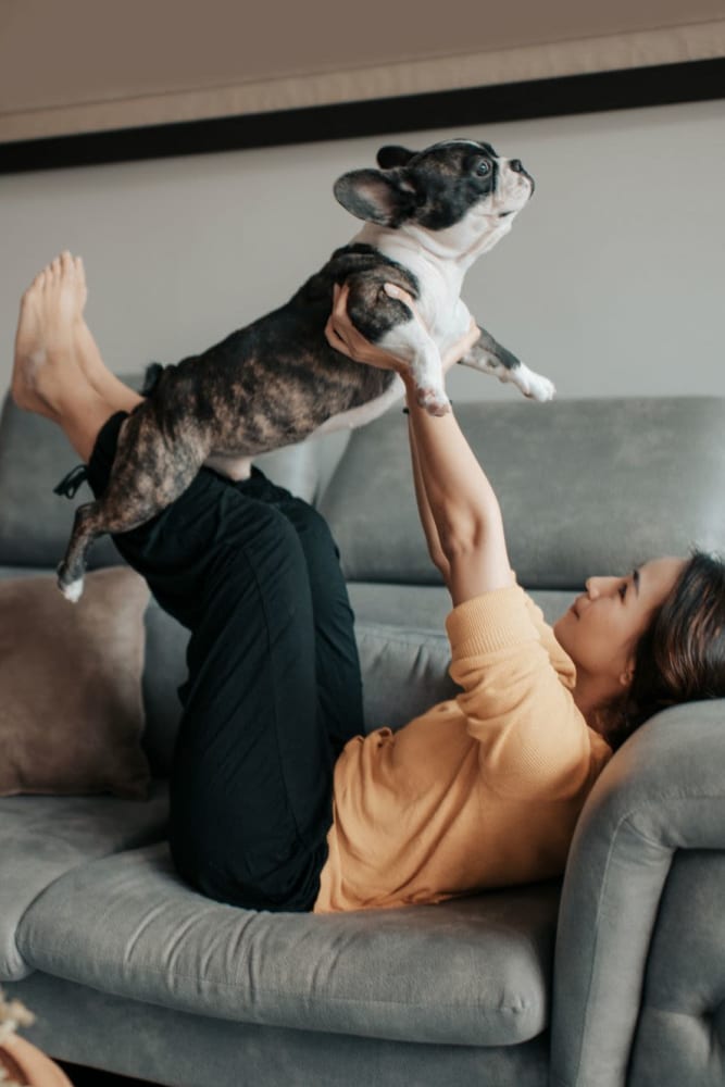 A resident and her dog on a couch at 55 Brighton at Packard Crossing in Boston, Massachusetts