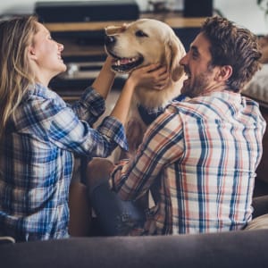 Couple giving their yellow lab some love in their pet-friendly home at The Majestic at Hewitt in Hewitt, Texas