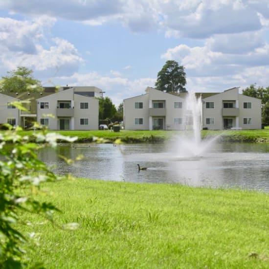 a sunny day out by the shared green spaces and water feature at Greenbrier Woods Apartments in Chesapeake, Virginia