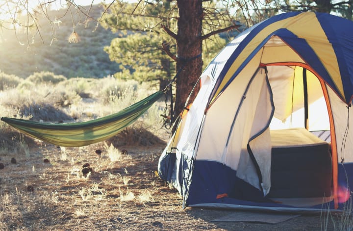 to the right of the photo, a tent with the flap unzipped and open and to the left, between two trees a hammock