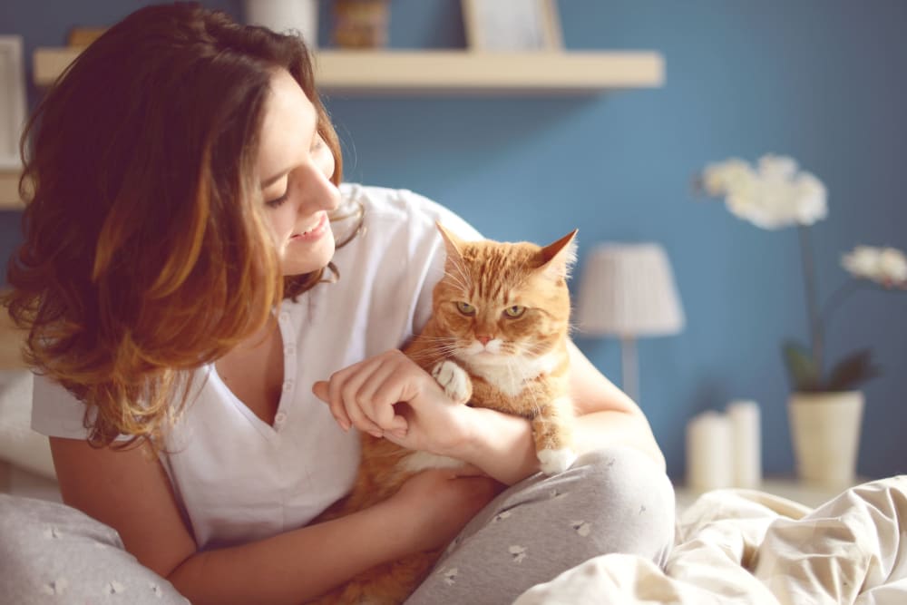 Resident cuddling with her cat at Madison Crest Apartment Homes in Madison, Tennessee