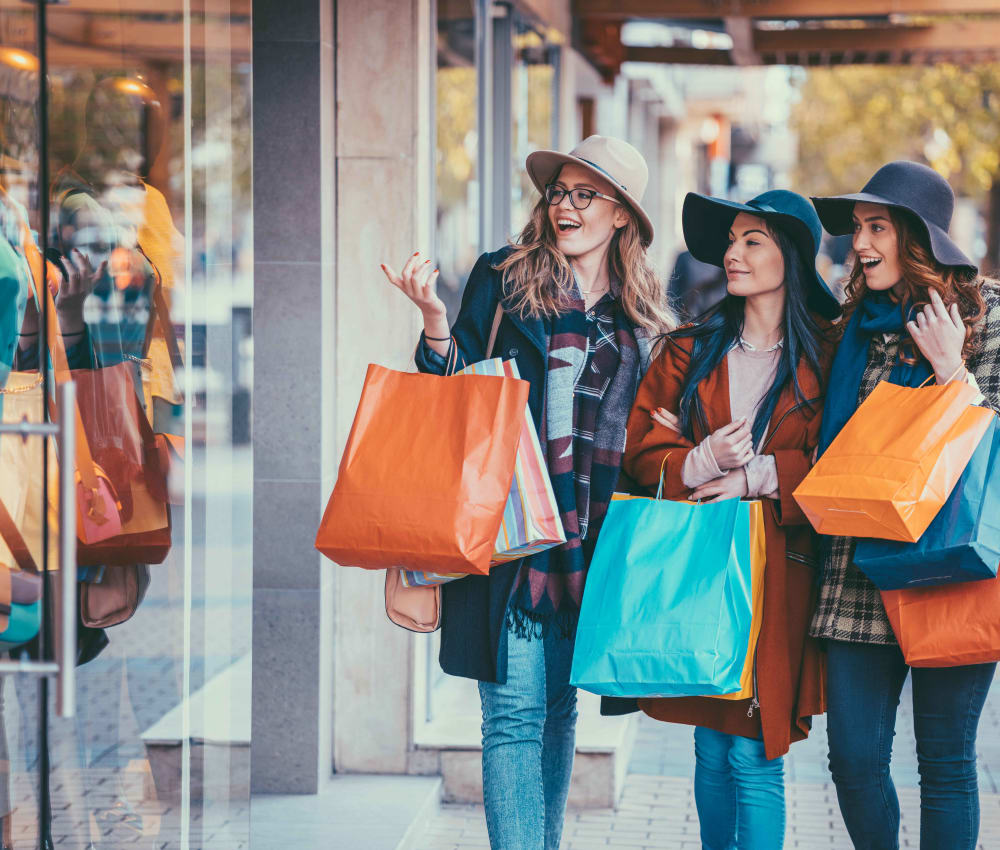 Residents enjoying a some retail therapy at the shopping near Anson in Burlingame, California