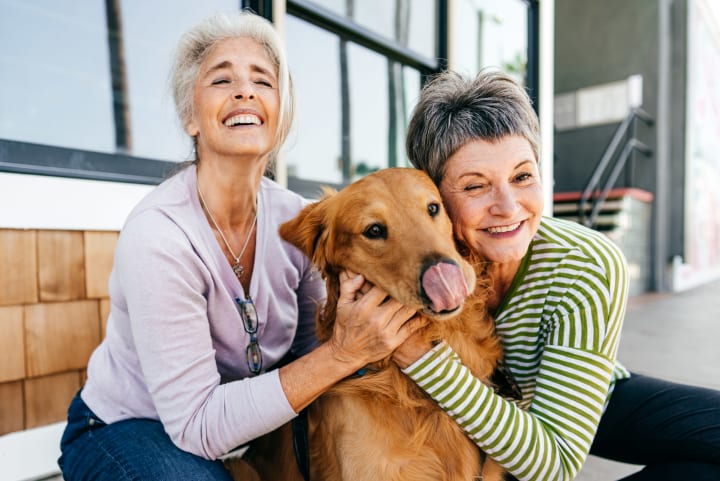 Same sex elderly female couple with dog