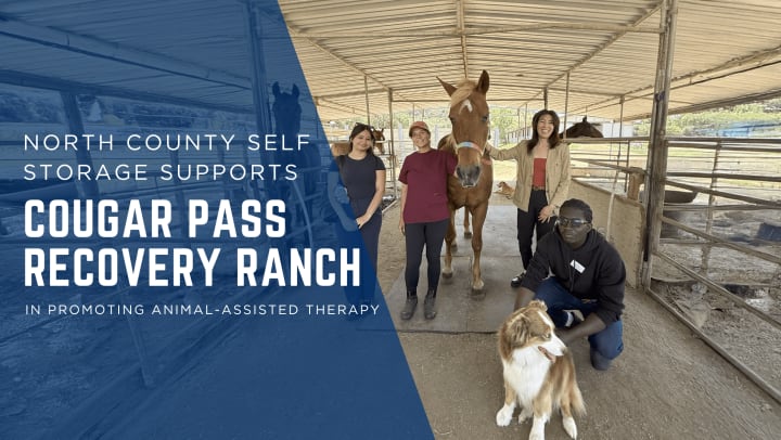 North County Self Storage team members standing with a therapy horse and a dog at Cougar Pass Recovery Ranch, showcasing their support for animal-assisted therapy programs that help students with autism, ADHD, and anxiety build confidence and independence.