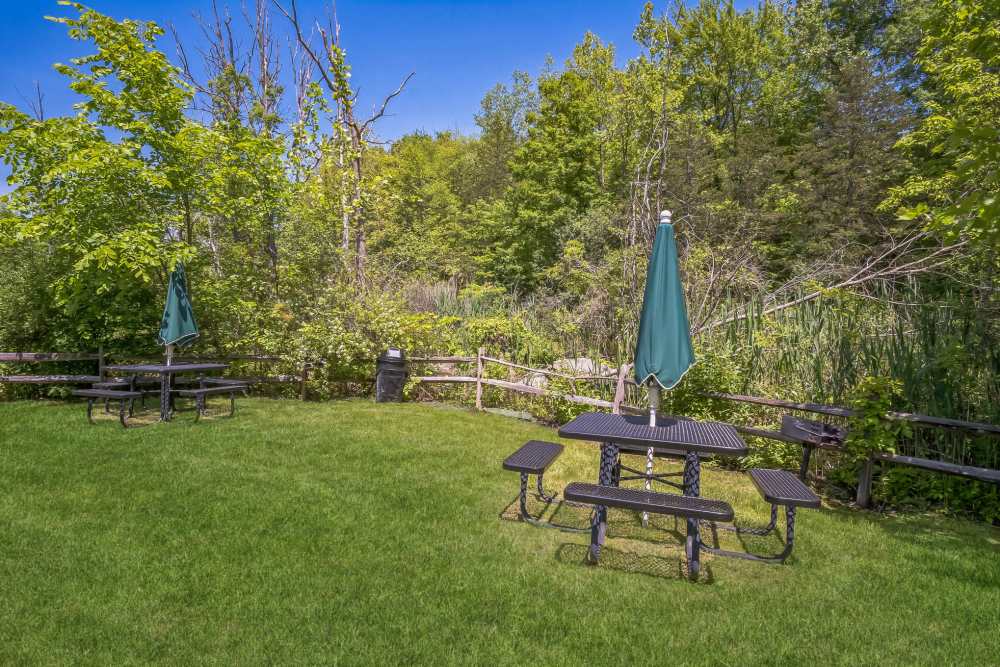 Scenic apartment complex with expansive green space and trees at Riverbend at Wappingers Falls in Wappingers Falls, New York