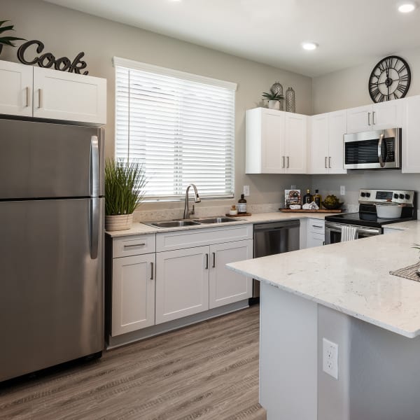 Luxury stainless-steel appliances at TerraLane on Cotton in Surprise, Arizona