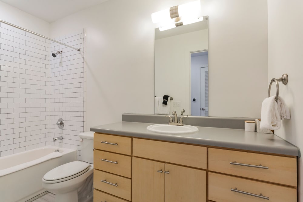 East Nashville, TN Apartments for Rent in Greenwood The Eastland