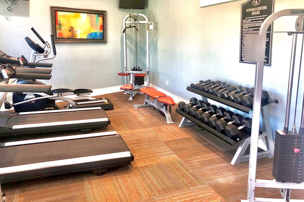 Our Apartments in Houston, Texas offers a Gym