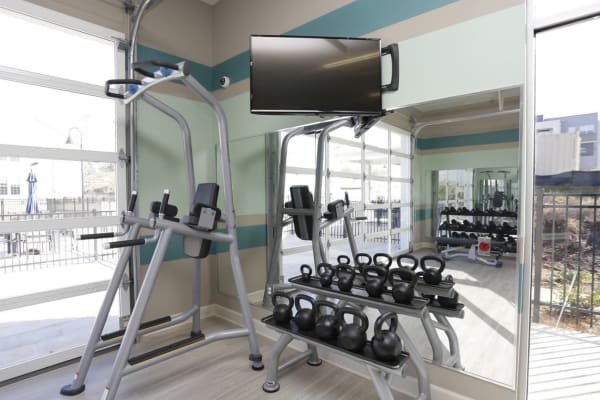 Fitness center at Springs at Laurens Road in Greenville