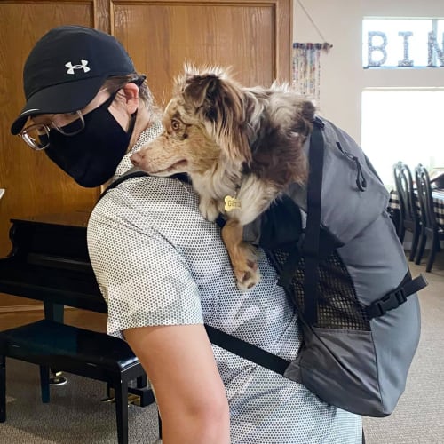 Resident dog at Canoe Brook Assisted Living in Ardmore, Oklahoma