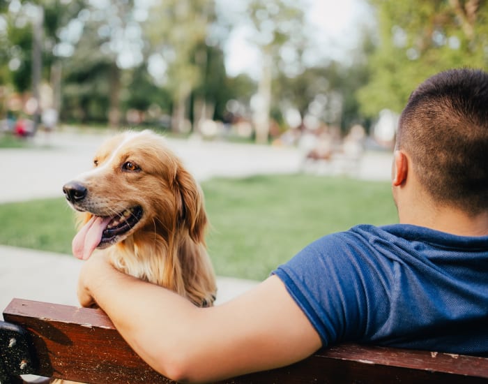 A resident sitting on a park bench with his dog near Woodside at Seven Pines in Jacksonville, Florida