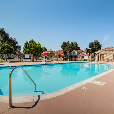 A dog with a ball at Stuart Mesa in Oceanside, California