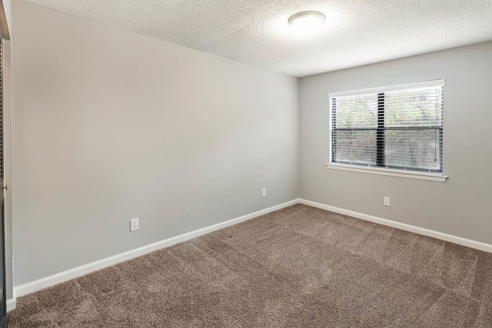 Bedroom with a window and nice carpeting at Northshore Flats Apartments in Chattanooga, Tennessee