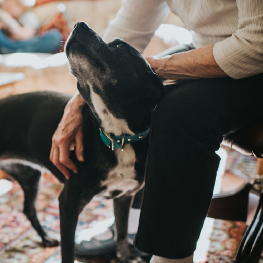 Pet-friendly living at Chateau Gardens Memory Care in Springfield, Oregon