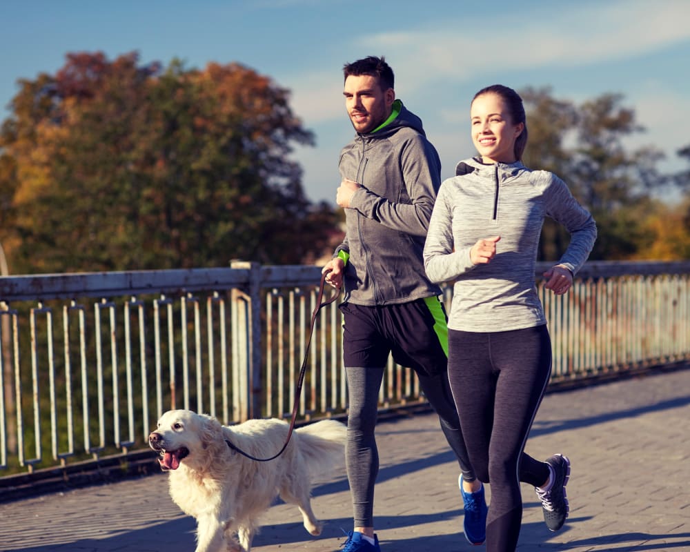 Resident couple running with their dog near Mountain Trail in Flagstaff, Arizona