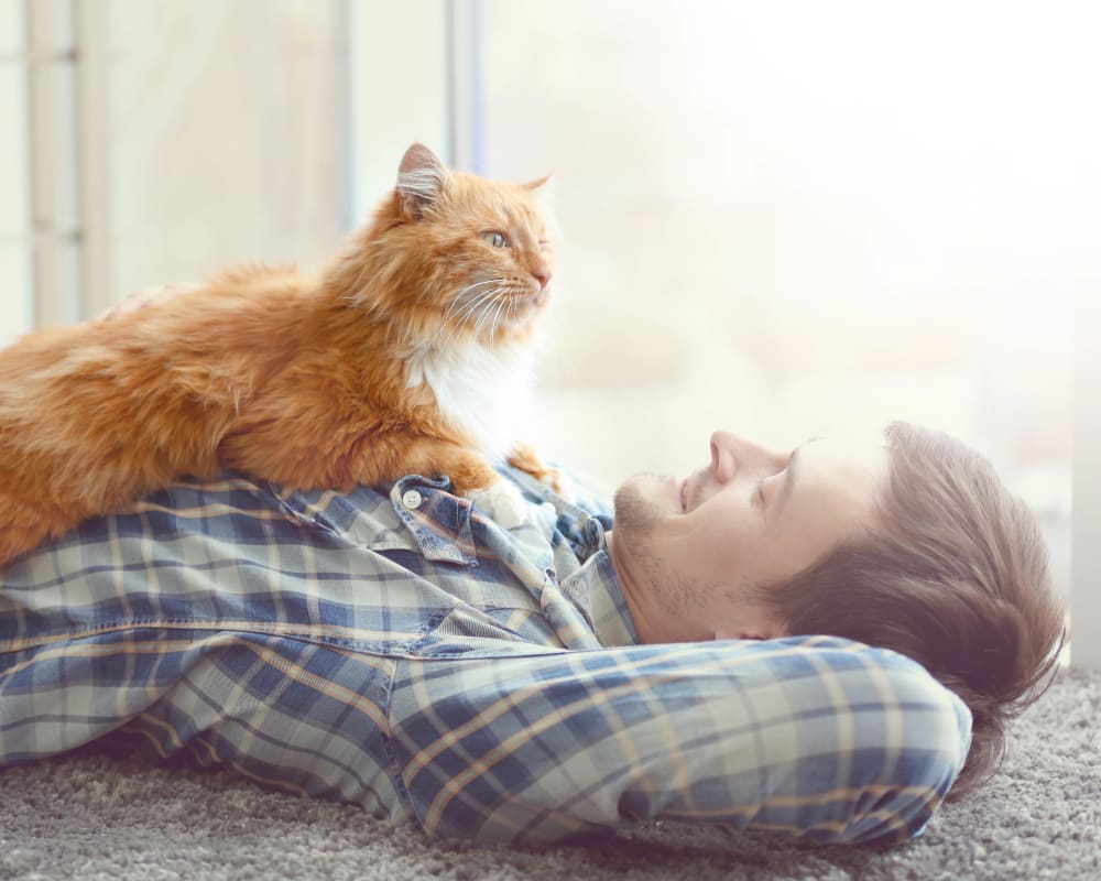 Resident and his cat in their new home at Olympus at Ten Mile in Meridian, Idaho