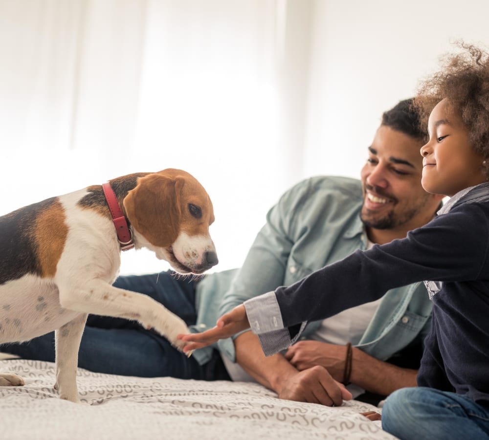 Father and daughter teaching their puppy to shake in their apartment home at The 805W Lofts in Richmond, Virginia