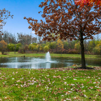 View our neighborhood near Central Park Estates in Novi, Michigan